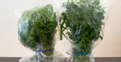 怎样晒干白菜 453eced44f425907bade7206aed78ed6_400_205.jpg