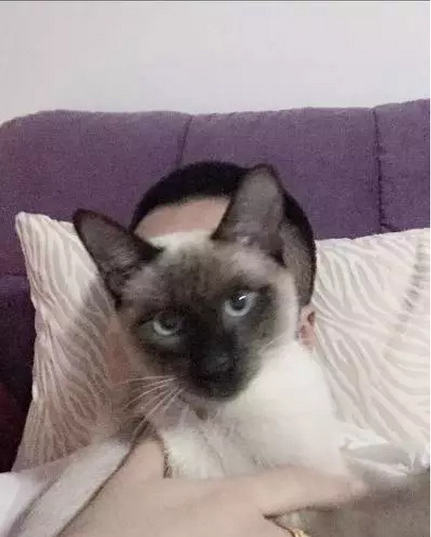 <em>扒一扒回忆专用小马甲</em>_手机新浪网