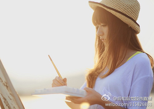 怎样选择一支优质股票呢?