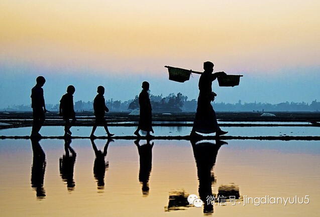 付出,不要后悔;失去,也不要遗憾!