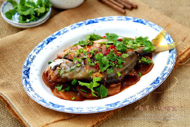 怎么把肉炖出来没有腥味 4993ee66d93fa17a39a55ae2285b21bf_690_459.jpg