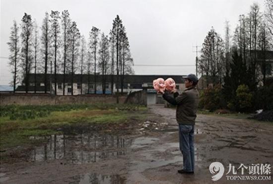 中国充气娃娃引发日本网友集体吐槽调侃!