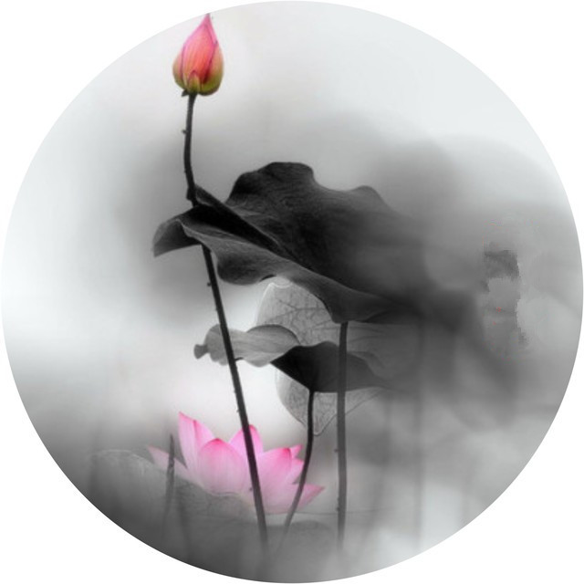 境界人生感悟 4c477e1e2fdeeec94076b873868539e1_640_640.jpg