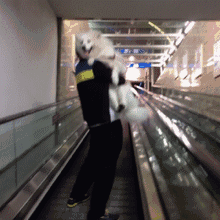 妞妞至今都不太敢坐这种<em>电梯</em>.看来还是有原因