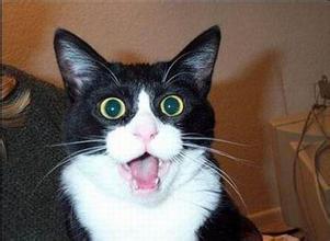 大年初一<em>我</em>决定<em>不穿胸罩</em>,<em>不</em>穿裤头。