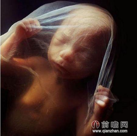 女子怀孕宝宝怀在肝脏上随时会爆炸 受精卵滑