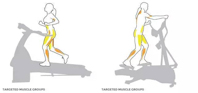 卷腹不能瘦腰!练腿也不瘦腿!你的健身计划,误入