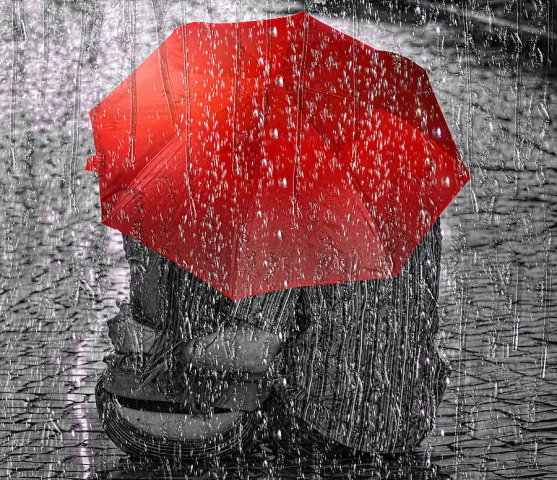 一把伞的奇迹-读首诗再睡觉