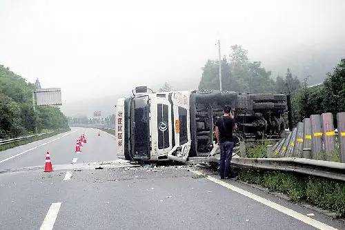 一男子高速行车中因避让小猫身亡,路遇小动物