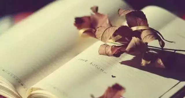 帮忙是情分,不帮是本分