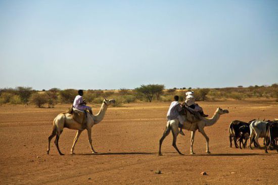 非洲国土面积最大的国家--苏丹