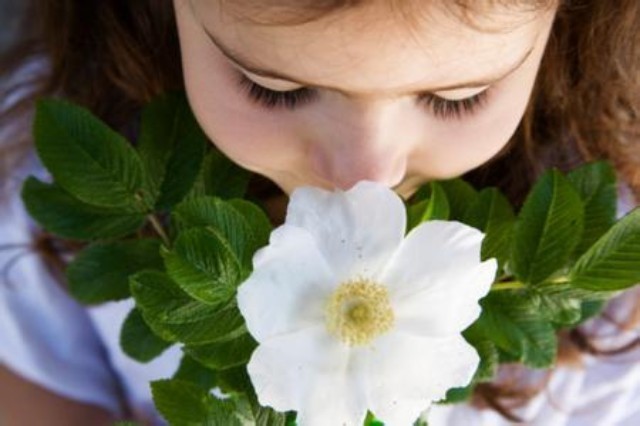 公司HR如何建立员工的感恩心态