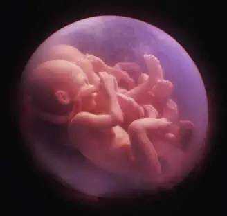 左右手各有伤口,贴一块儿,愈合后会长成一体吗