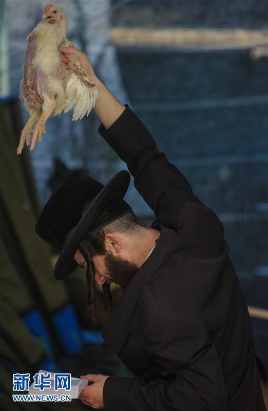 新华社评出2015年度国际照片