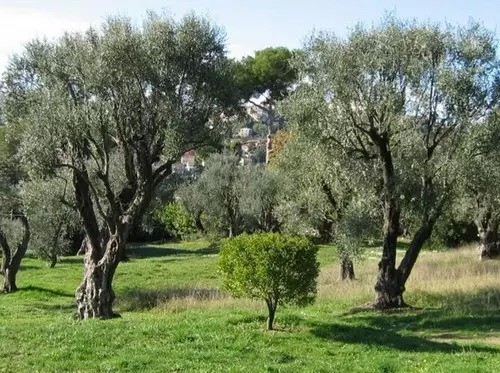 不是只有买房才能移民希腊