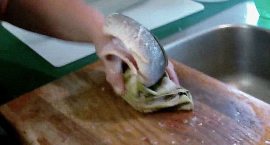 曝光广州餐馆僵尸鱼 被煮熟后仍在盘中抽搐蠕