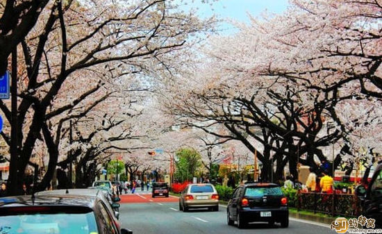 日本签证面面观,细说日本签证的各种问题