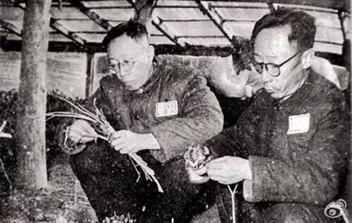 末代皇帝溥仪的绝版老照片