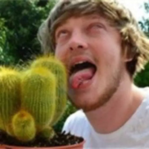 逗比小伙生吃仙人掌!作死的节奏!