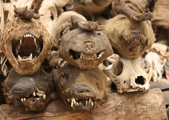 泰国流行新趋势:收养鬼娃娃