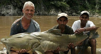 蜘蛛竟然能吃活蛇 盘点让人毛骨悚然的怪兽