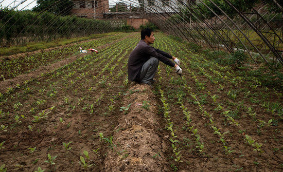 农村土地制度在拖中国发展的后腿