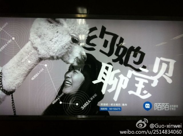 陌陌新广告能否为约炮神器正名?-南冥一鲨-自