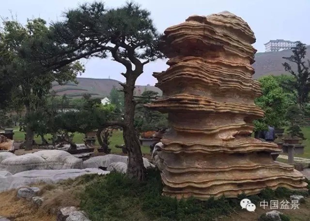 中国风景园林学会花卉盆景赏石分会第八届理事