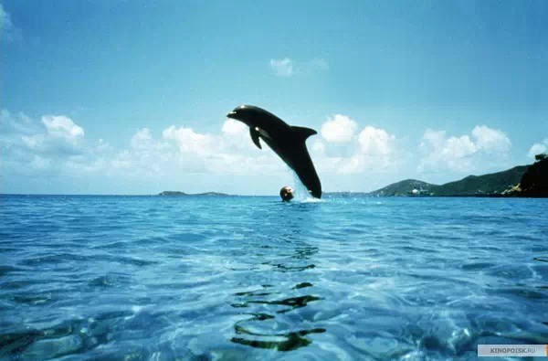 怎么样才能变成美人鱼呢 7f9c22c211e58bde5c5f5f60d4360d93_600_395.jpg