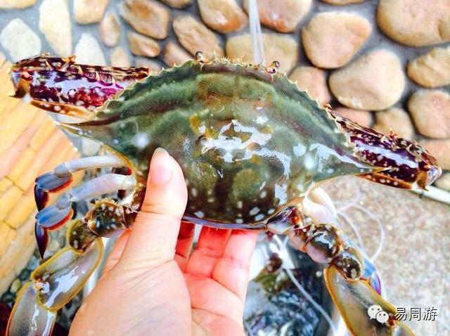 江浙沪哪里吃海鲜_江浙沪地图_泰国总理英拉哪里漂亮(2)