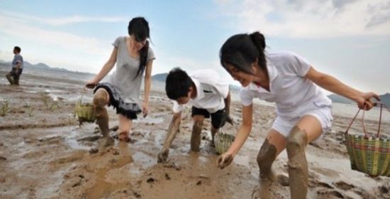 天津八大碗海鲜楼_满族八大碗的做法大全_天津大学新校区