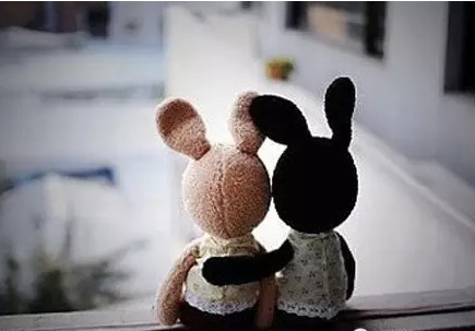 说好一起到白头,你却偷偷焗了油