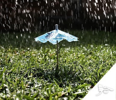 每日一禅:打湿的人生