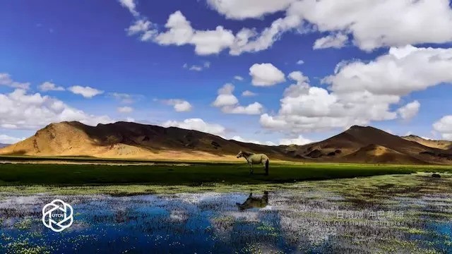 动中国2015 | 70位摄影师谱写的中国形象片 你