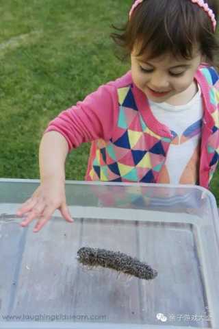 欧美幼儿园最受欢迎游戏:自然元素的浮沉实验