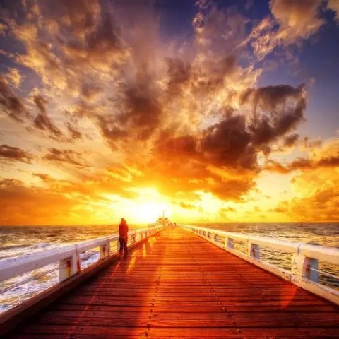 爱是一个人的朝圣