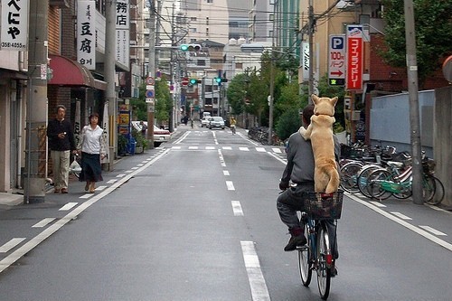 带你走进真实的日本,惊呆了-旅行摄影风景
