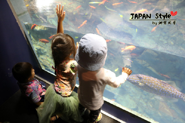 日本亲子游攻略:大阪海游馆一日游