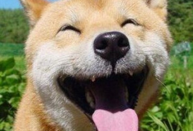 ★ 今天礼拜五 ★老干妈获政府奖励A8888车