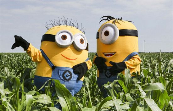 呆萌小黄人现身英国云雀玉米迷宫 现场开飞机