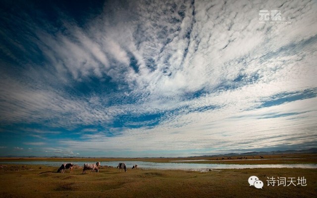 铁骨铮铮《将军泪》_新浪悦读_手机新浪网