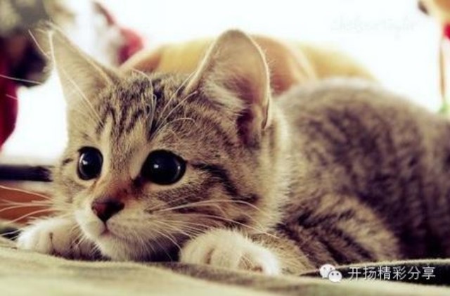 你的一生都做了什么?13组数字震惊你!