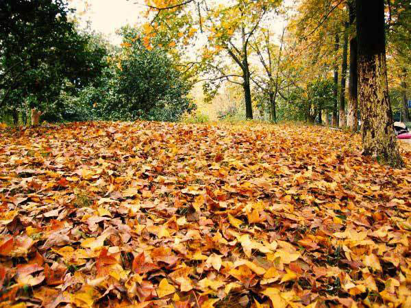 匆那年 逝去的是我们的青春 我再也回不去了-治