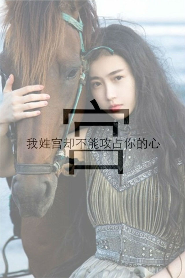关于杨姓氏的qq皮肤内容|关于杨姓氏的qq皮肤版面设计