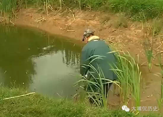 生化危机?没有眼睛的变异鱼