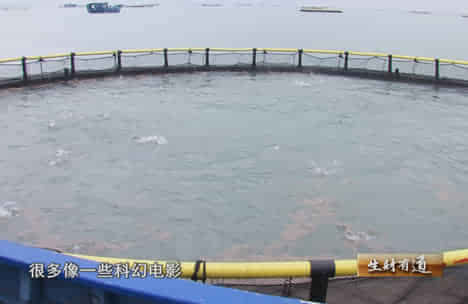 【创业经】 兵哥哥 36元起家养鱼 养出亿万财富