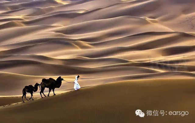 亲爱的,我们去旅游吧! | 我带着你,你带着钱。