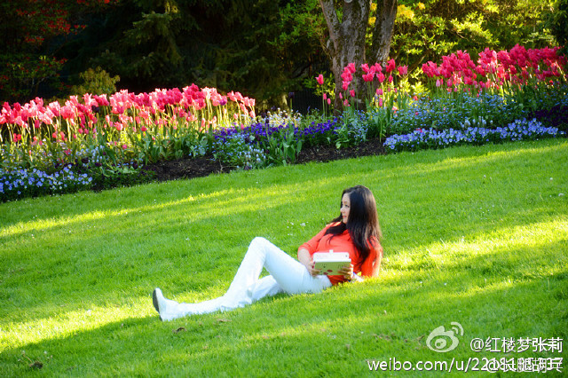 高龄女星不婚OR随便找个男的就结了,执着不一