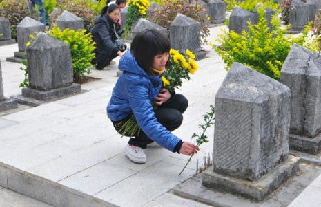 清明节网上扫墓可行吗,清明节网上扫墓