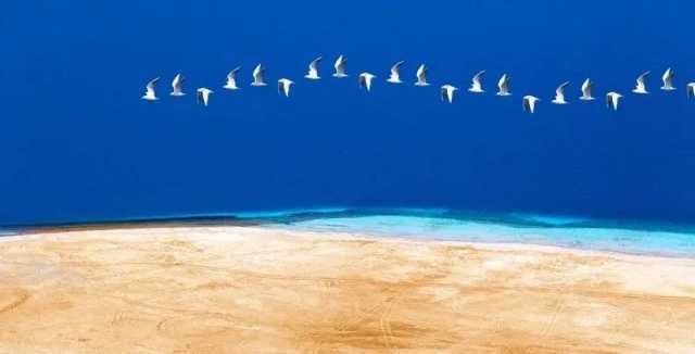 弘毅投资董事长赵令欢:随势而动,投资中国